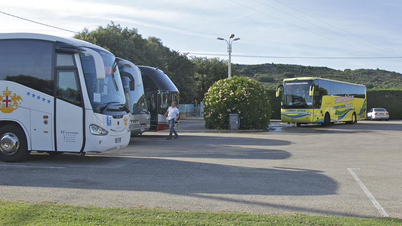 Accueil des bus et groupes en Provence-Camargue